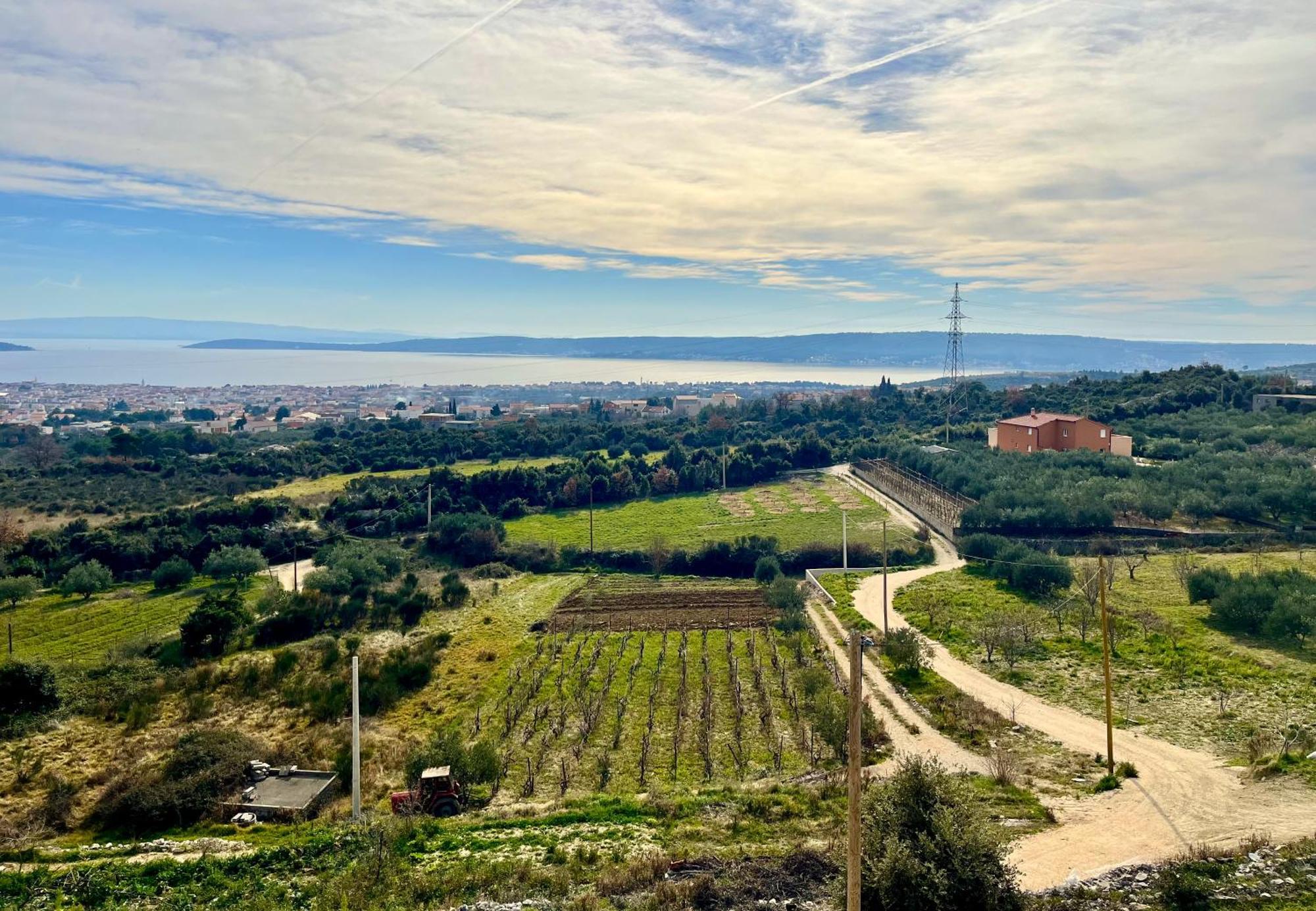 Villa Bepina, Surrounded By Sea, Olive, Vineyard Kaštel Novi Extérieur photo