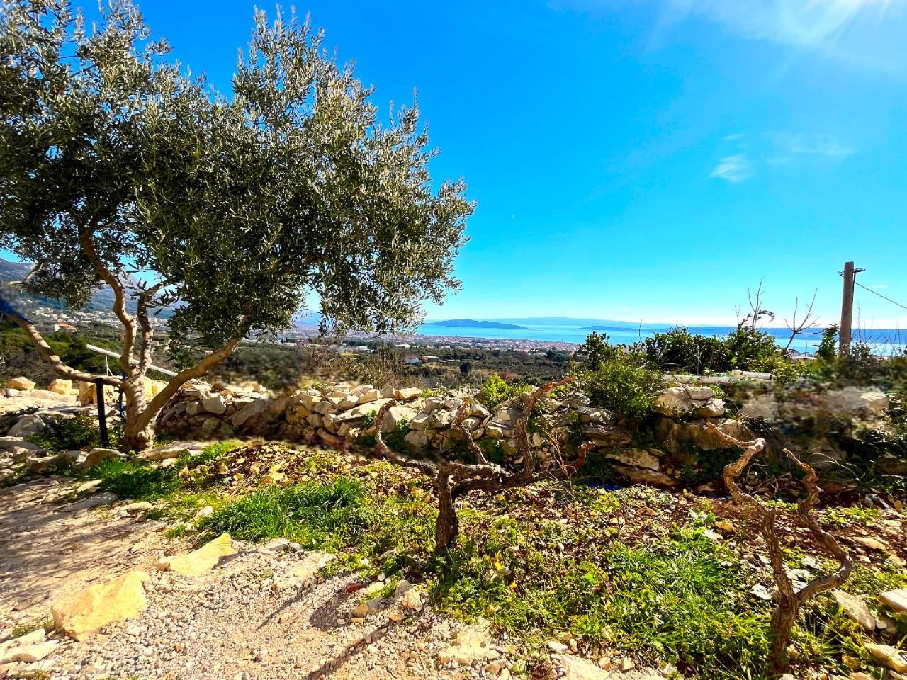 Villa Bepina, Surrounded By Sea, Olive, Vineyard Kaštel Novi Extérieur photo